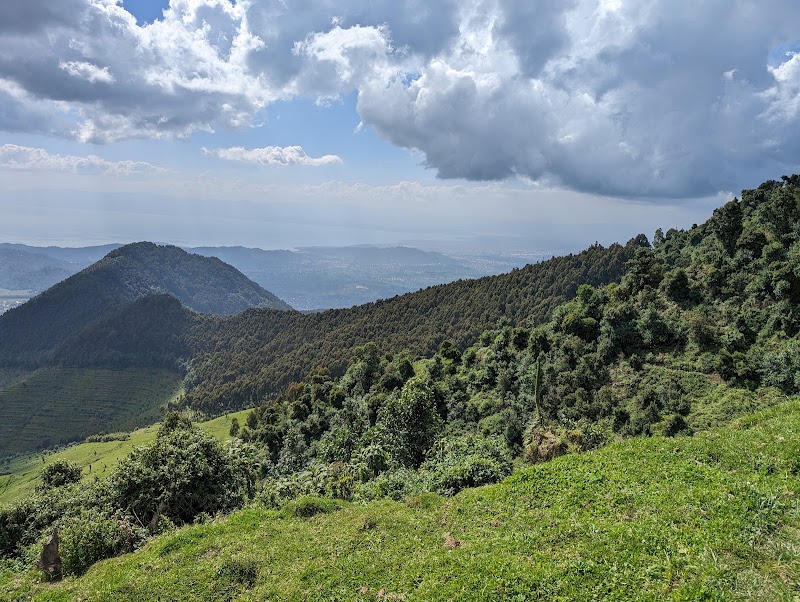 Photo 2 at Gishwati-Mukura National Park and Biosphere Reserve in 