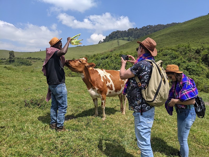 Photo 4 at Gishwati-Mukura National Park and Biosphere Reserve in 