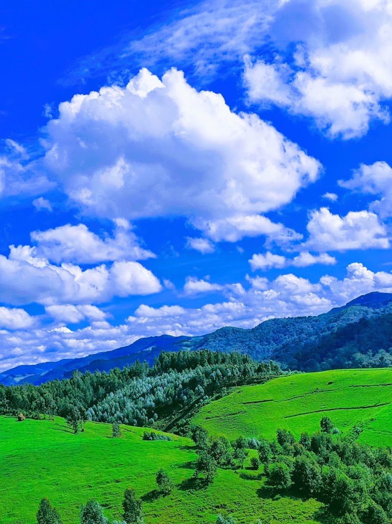 Gishwati-Mukura National Park and Biosphere Reserve in 