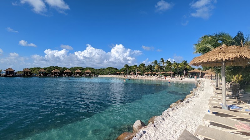 Photo 6 at Flamingo Beach in Oranjestad-East