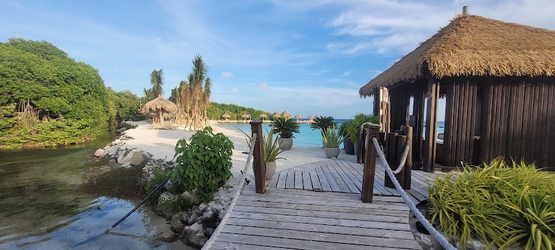 Flamingo Beach in Oranjestad-East