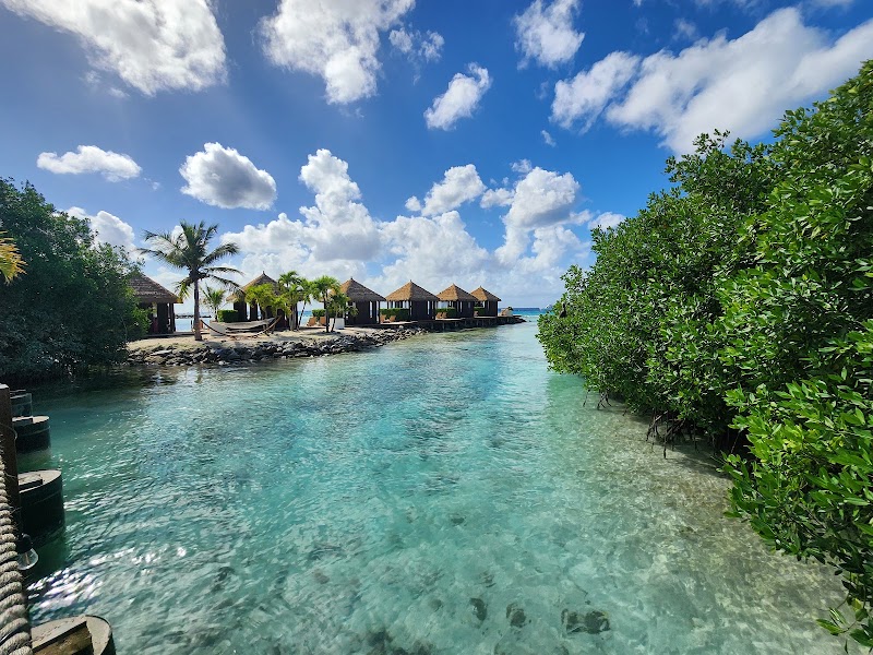 Photo 5 at Flamingo Beach in Oranjestad-East
