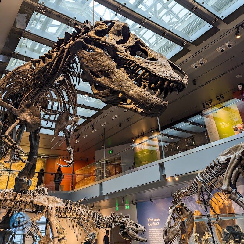 Photo 5 at Natural History Museum of Los Angeles County in Los Angeles