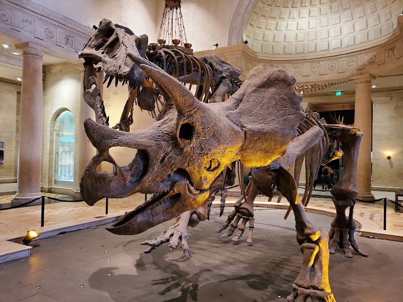 Natural History Museum of Los Angeles County in Los Angeles