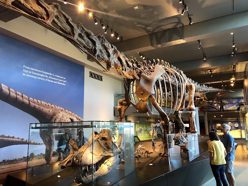 Photo 2 at Natural History Museum of Los Angeles County in Los Angeles