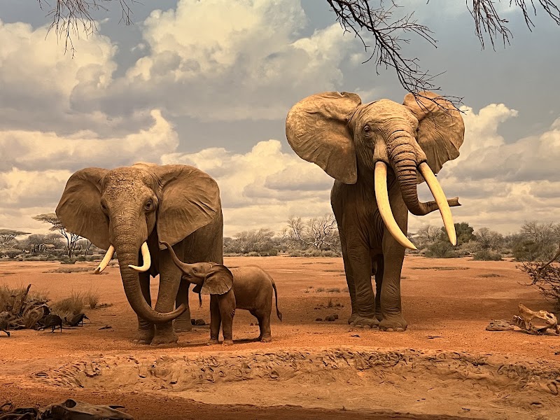 Photo 3 at Natural History Museum of Los Angeles County in Los Angeles