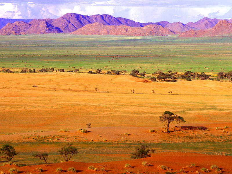 Namibia Tours & Safaris in Swakopmund