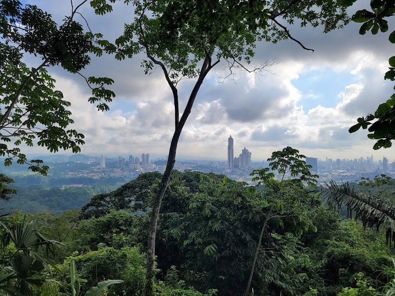 Photo 5 at Metropolitan Natural Park in Panama City