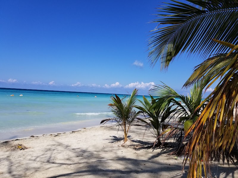 Photo 4 at Roots Bamboo Beach Resort in Negril