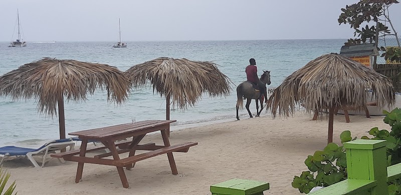 Photo 2 at Roots Bamboo Beach Resort in Negril