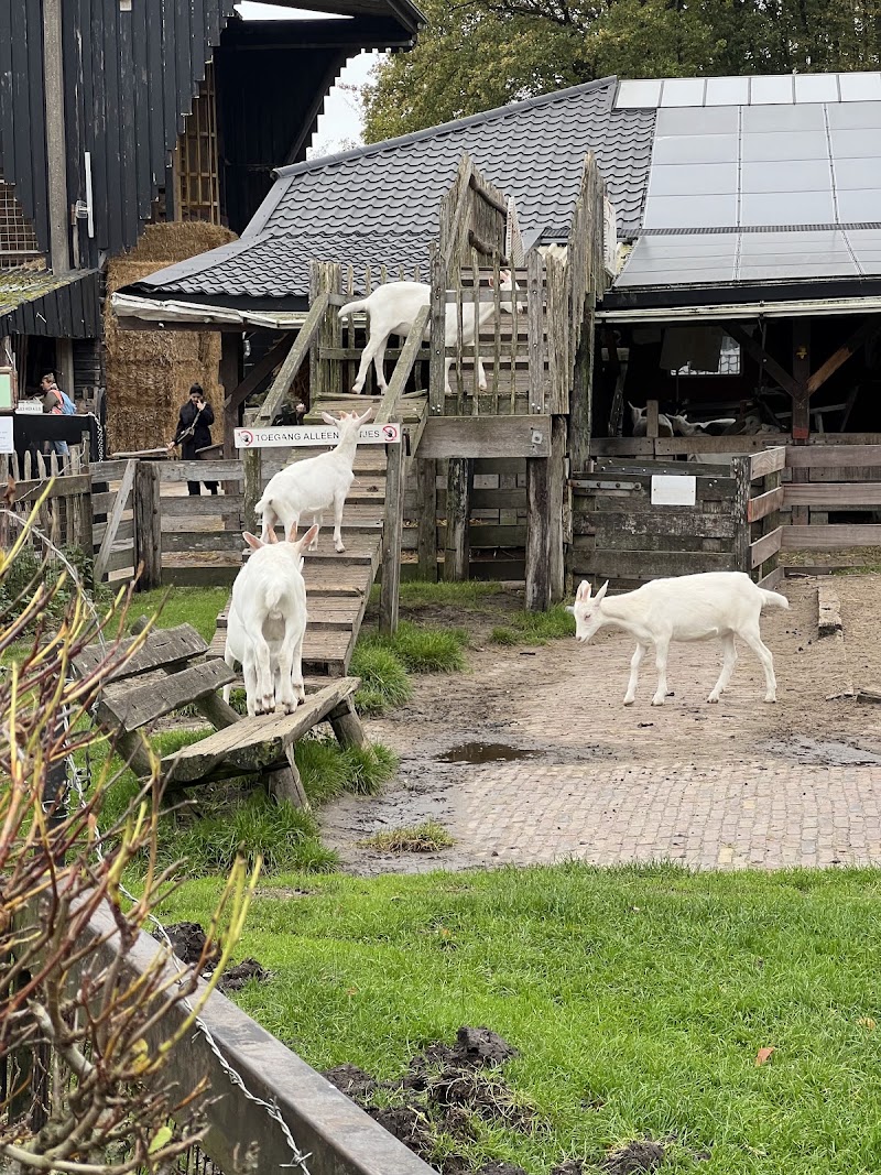 Photo 6 at Amsterdam Forest in Amstelveen