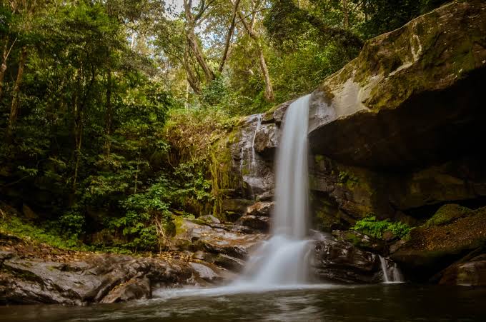 Photo 3 at Udzungwa Mountains National Park in 