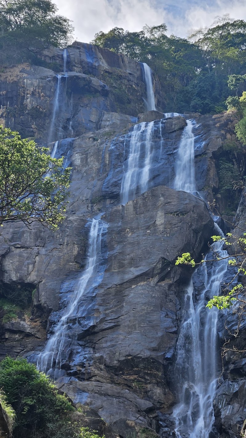 Photo 1 at Udzungwa Mountains National Park in 