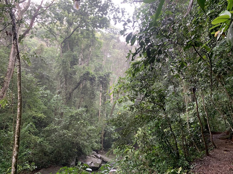 Photo 5 at Udzungwa Mountains National Park in 