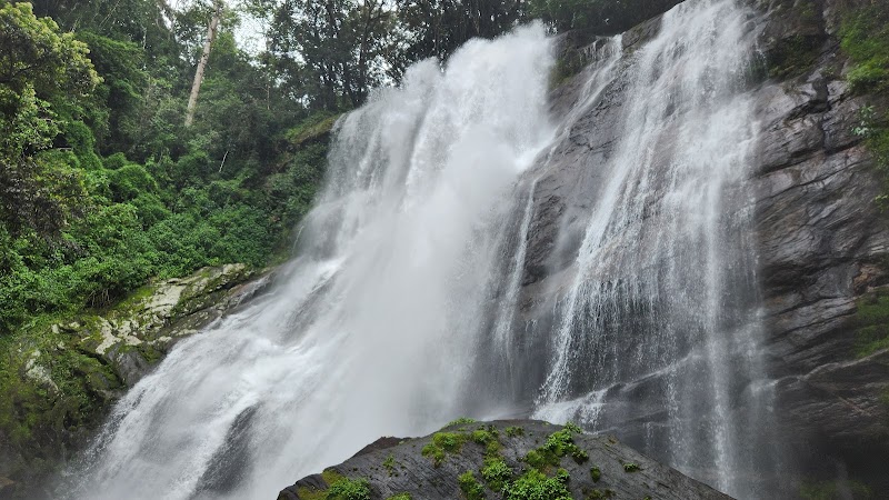 Photo 4 at Udzungwa Mountains National Park in 