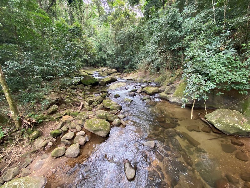Photo 6 at Udzungwa Mountains National Park in 