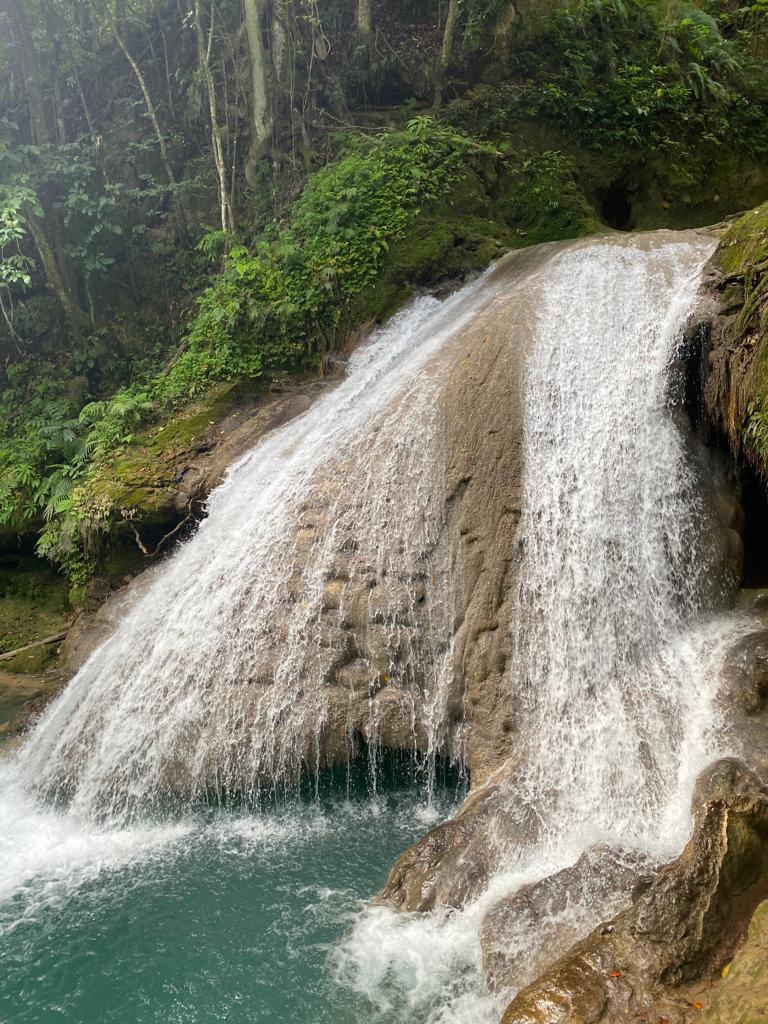 Photo 6 at Island Gully Falls in Lodge