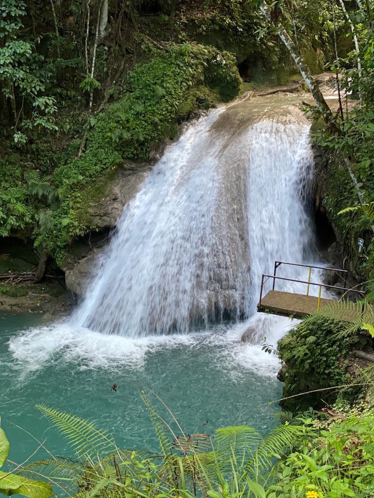 Photo 1 at Island Gully Falls in Lodge