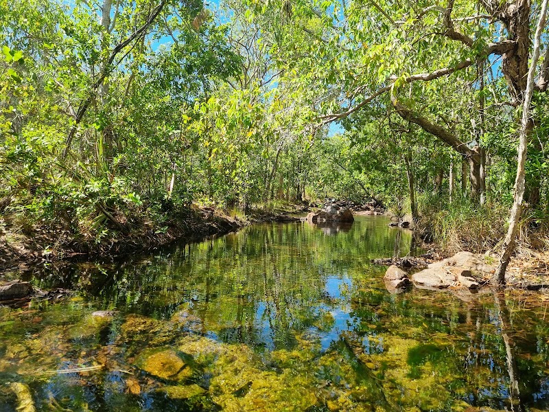Photo 3 at Litchfield National Park in Litchfield Park