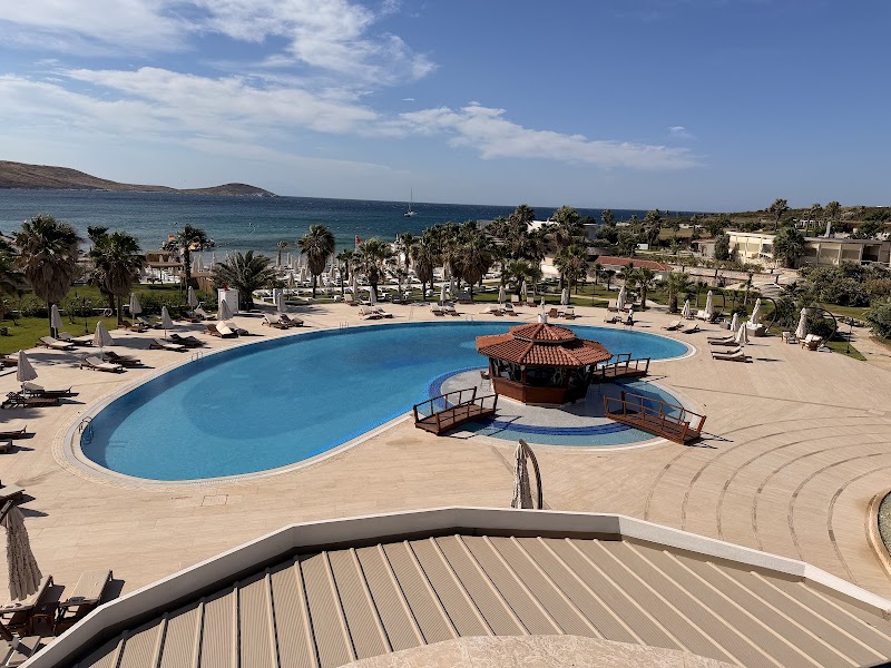Photo 2 at Cocos The Club Solto in 