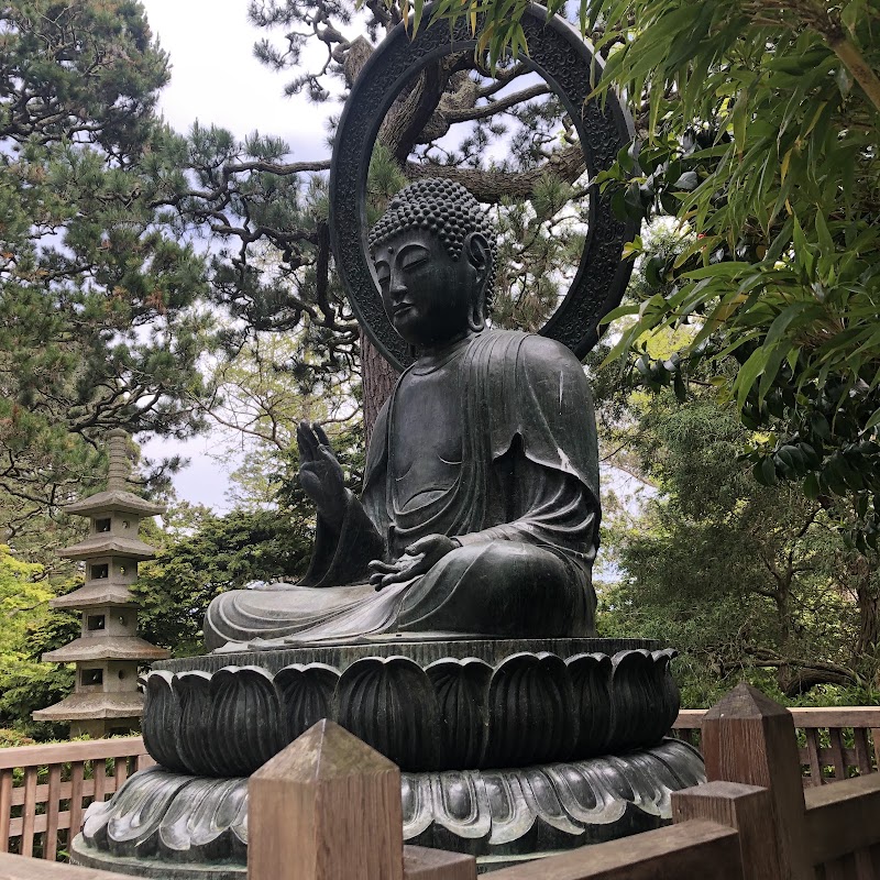 Photo 3 at Golden Gate Park in San Francisco