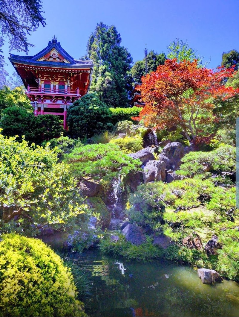 Photo 2 at Golden Gate Park in San Francisco