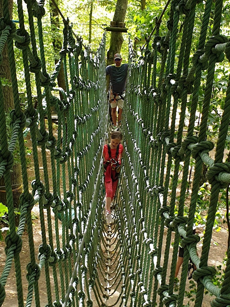 Photo 5 at Parc Le'h Adventures Sàrl in Dudelange