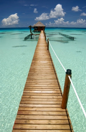 HAVAIKI LODGE in Fakarava