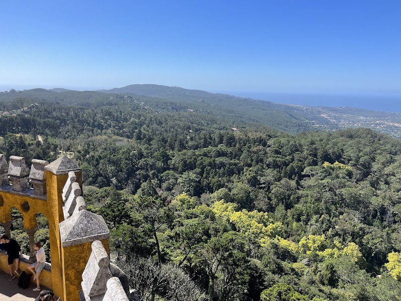 Photo 6 at National Palace of Pena in Sintra