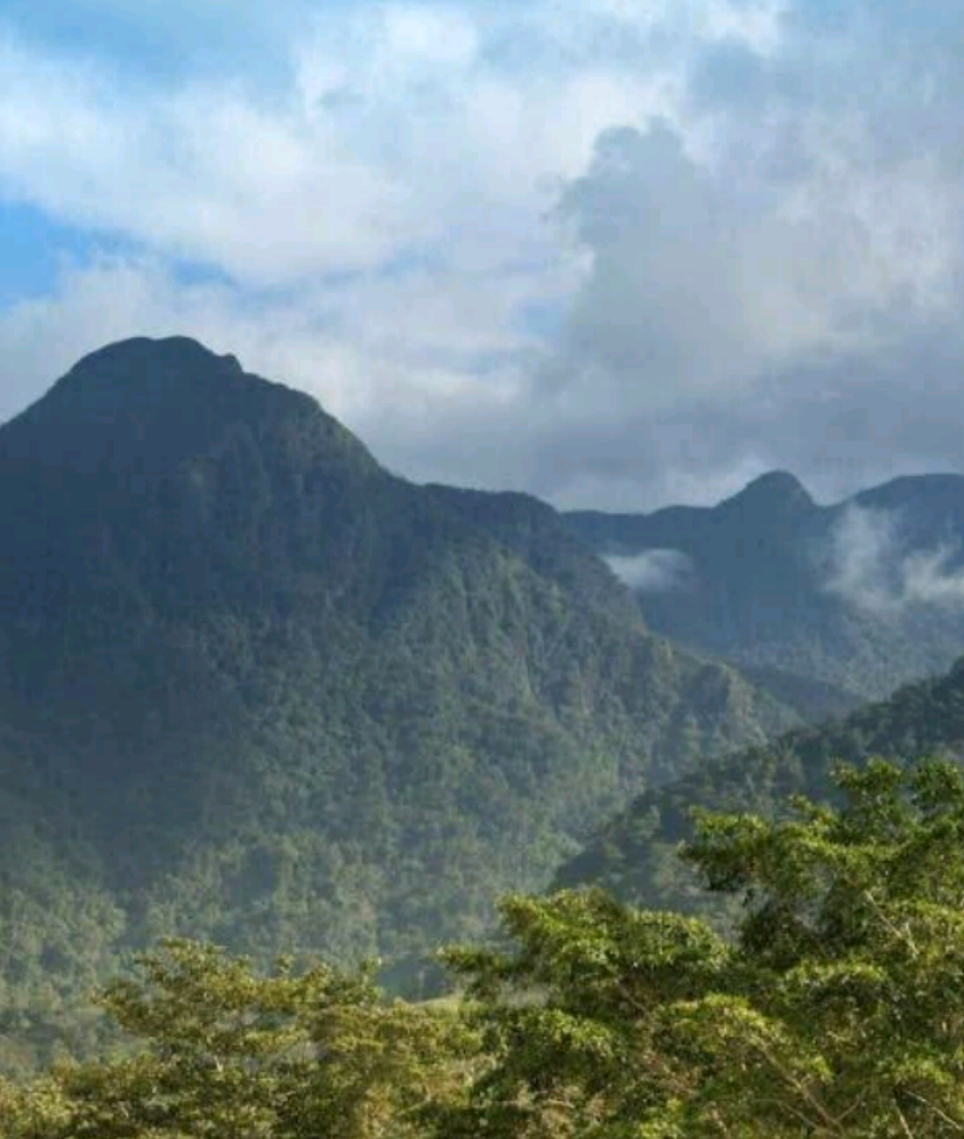 Parque Nacional Pico Bonito in La Ceiba