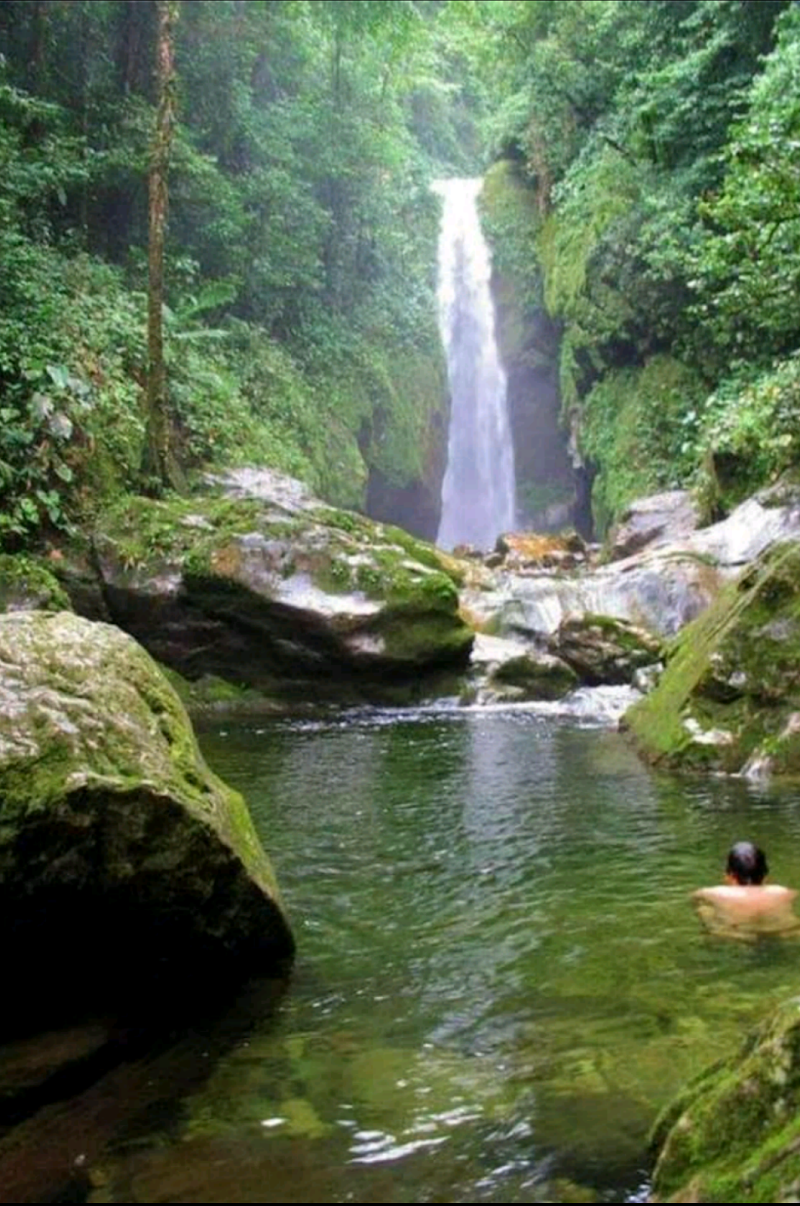 Photo 1 at Parque Nacional Pico Bonito in La Ceiba