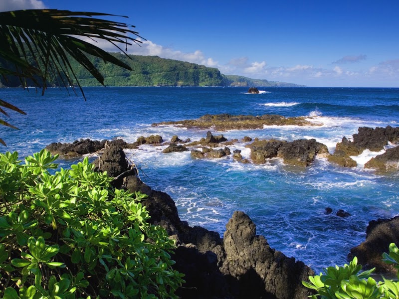 West Bali National Park in Gerokgak