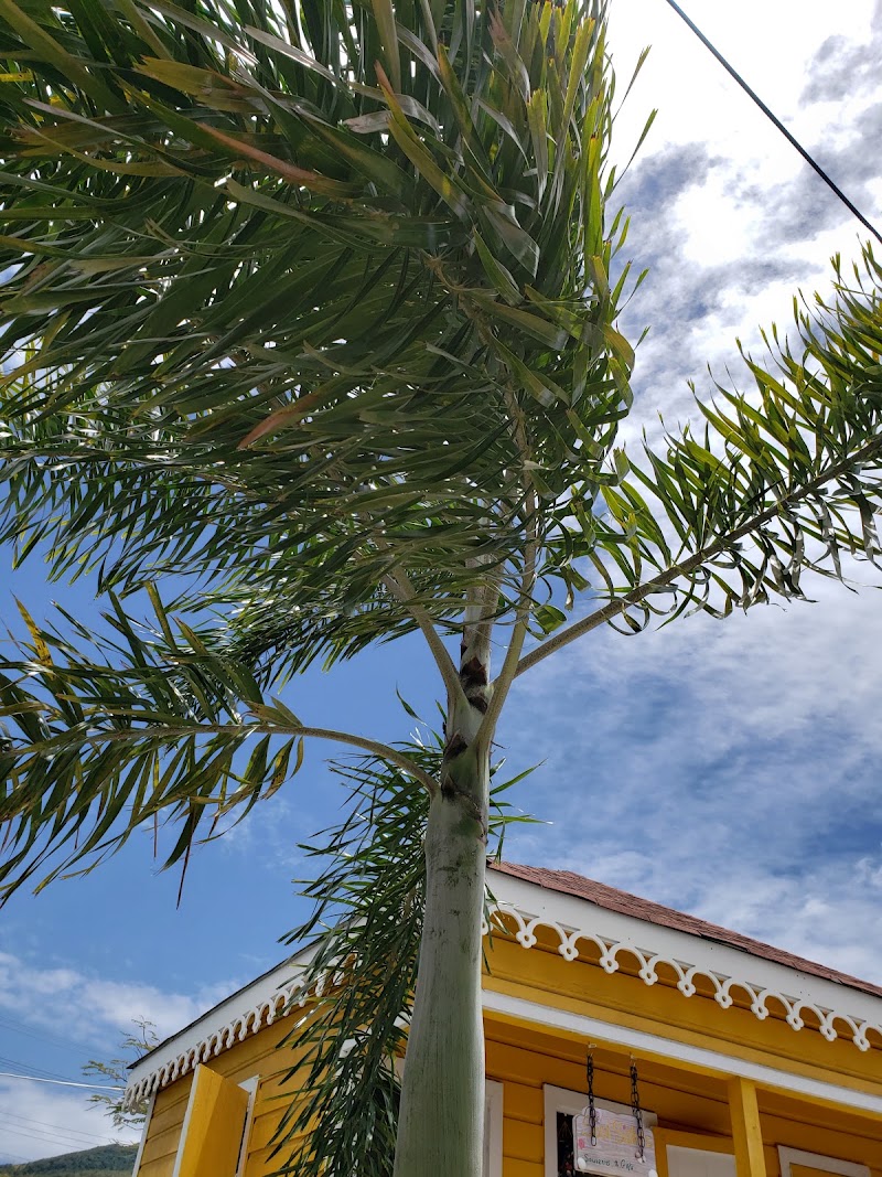 Photo 6 at Nevis Artisan Village in Charlestown