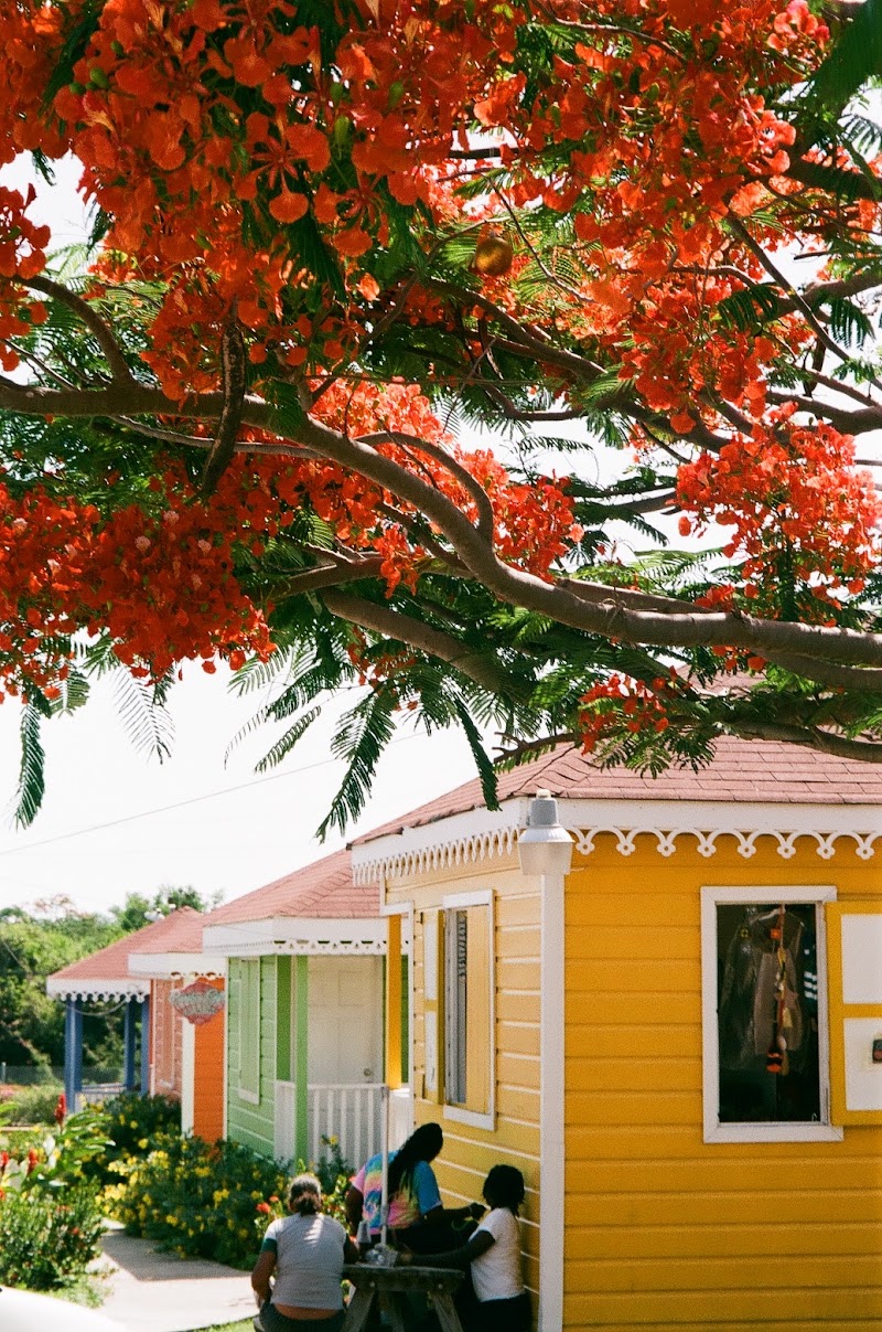 Photo 5 at Nevis Artisan Village in Charlestown