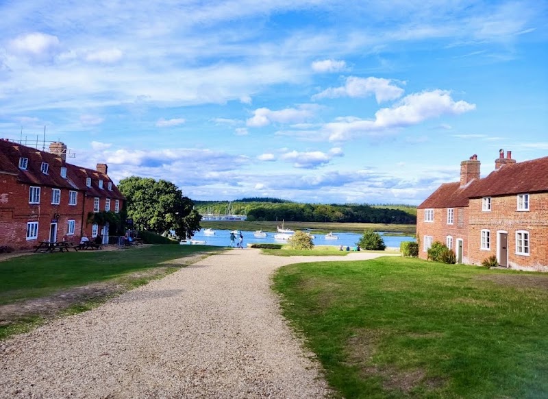 Photo 2 at New Forest National Park in 