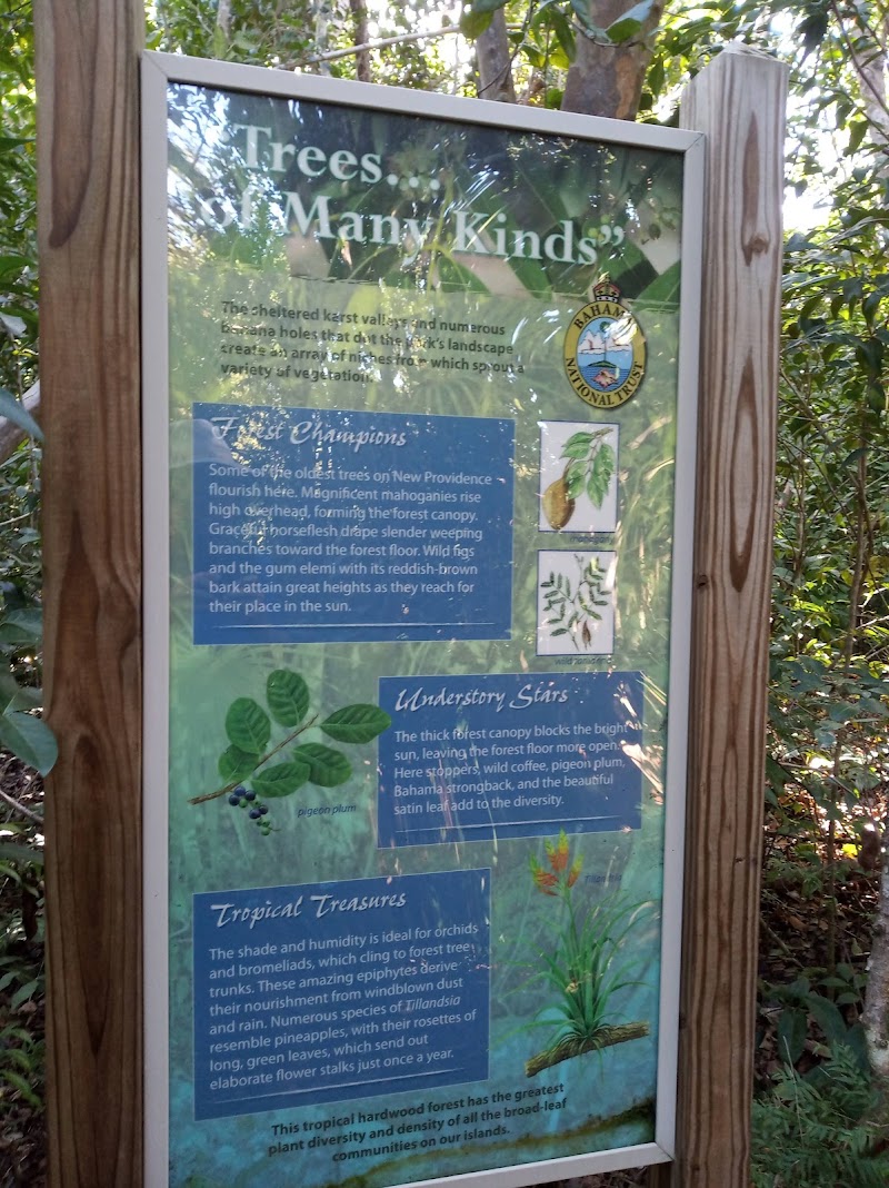 Photo 3 at Primeval Forest National Park in Nassau