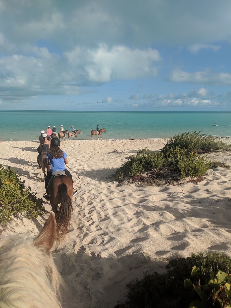 Photo 3 at Provo Ponies in Long Bay