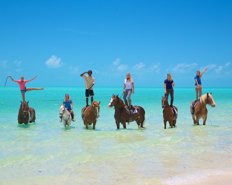 Provo Ponies in Long Bay