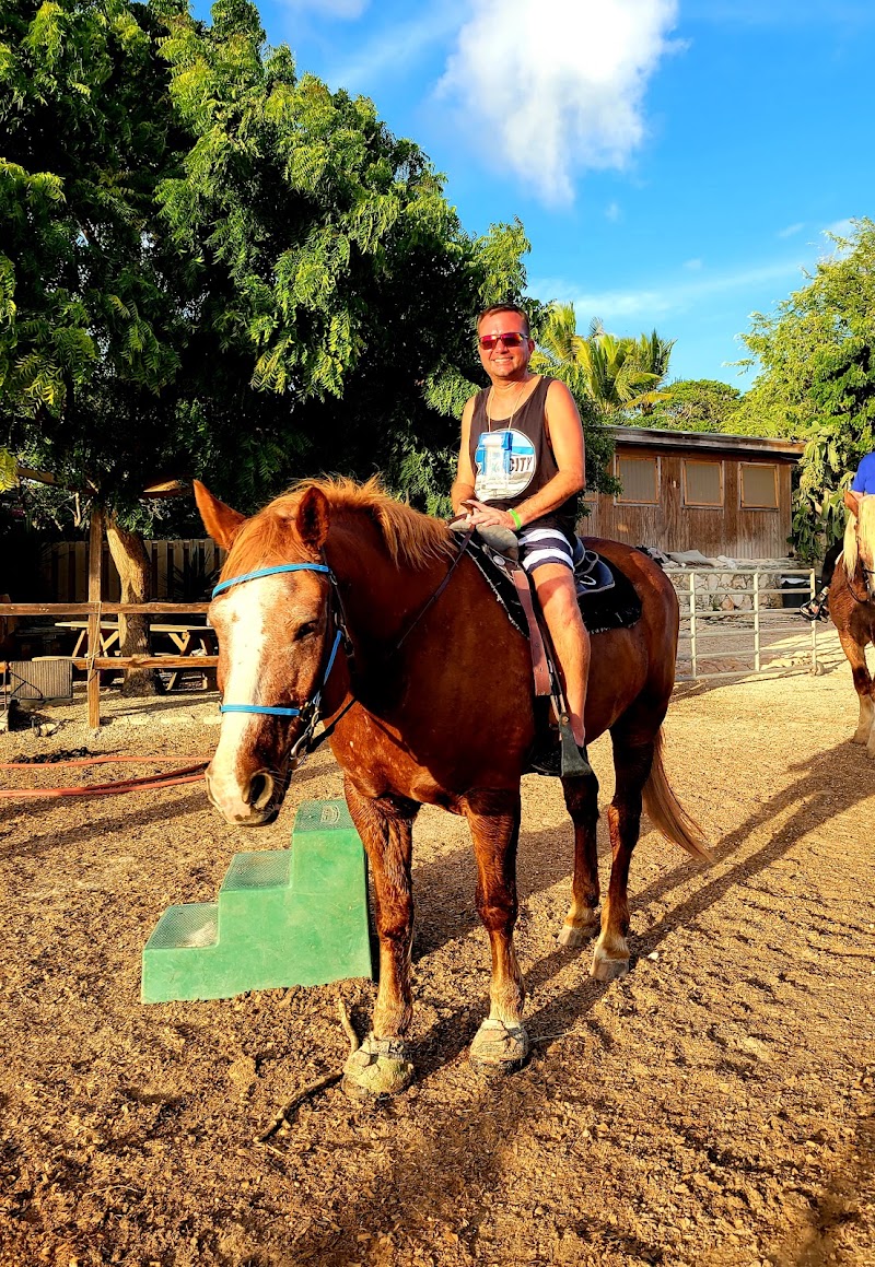 Photo 5 at Provo Ponies in Long Bay