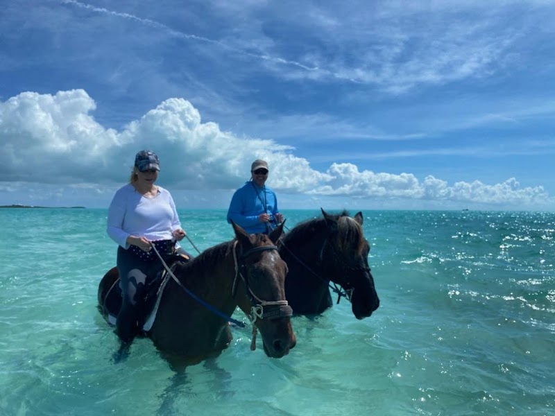 Photo 1 at Provo Ponies in Long Bay