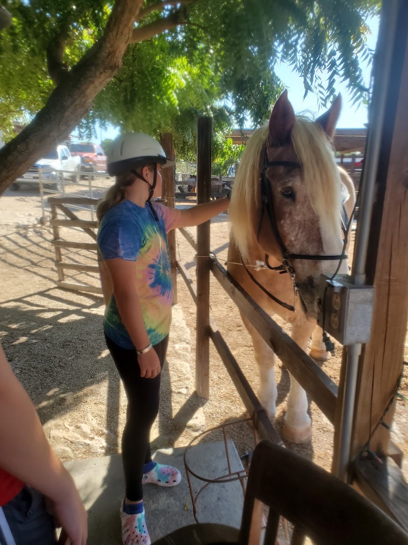 Photo 6 at Provo Ponies in Long Bay