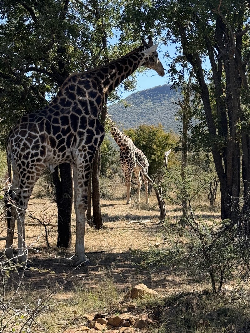 Viel Gluck Travel / Africa Safaris in Gaborone