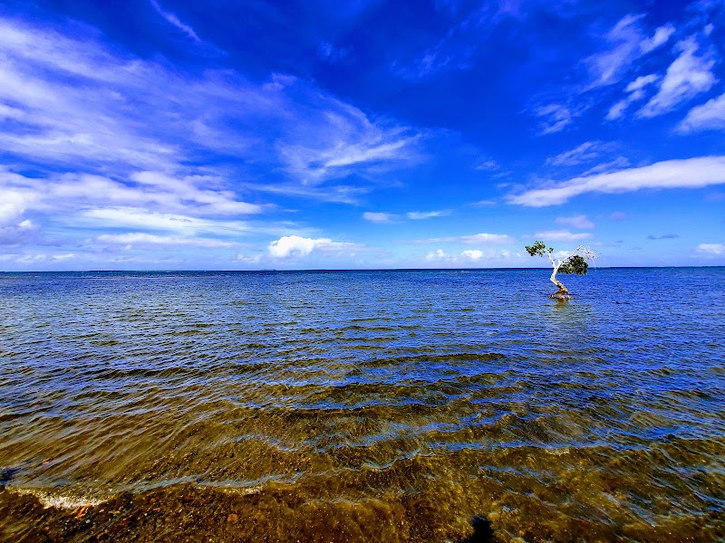 Photo 5 at My Suva Park in Suva