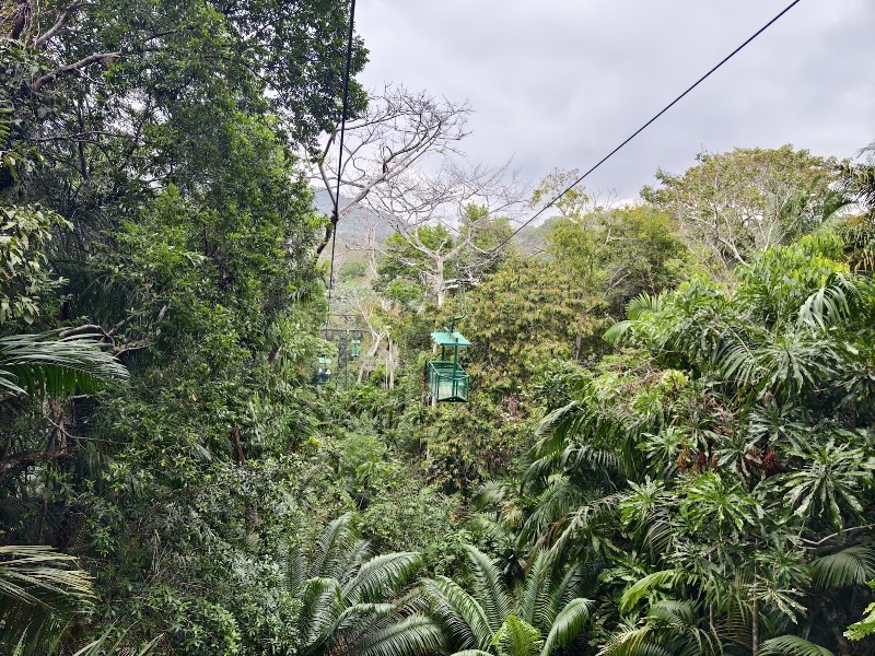 Photo 4 at Panama Rainforest Discovery Center in Gamboa
