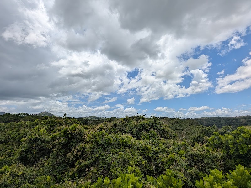 Photo 1 at Panama Rainforest Discovery Center in Gamboa