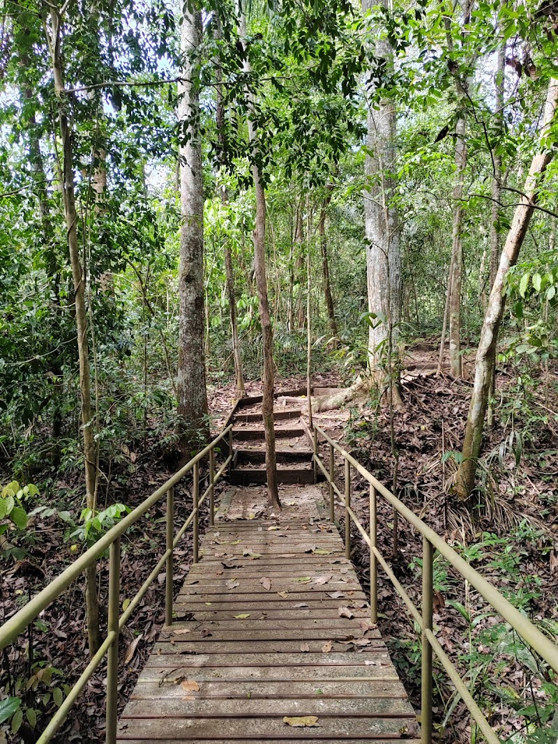 Photo 5 at Panama Rainforest Discovery Center in Gamboa