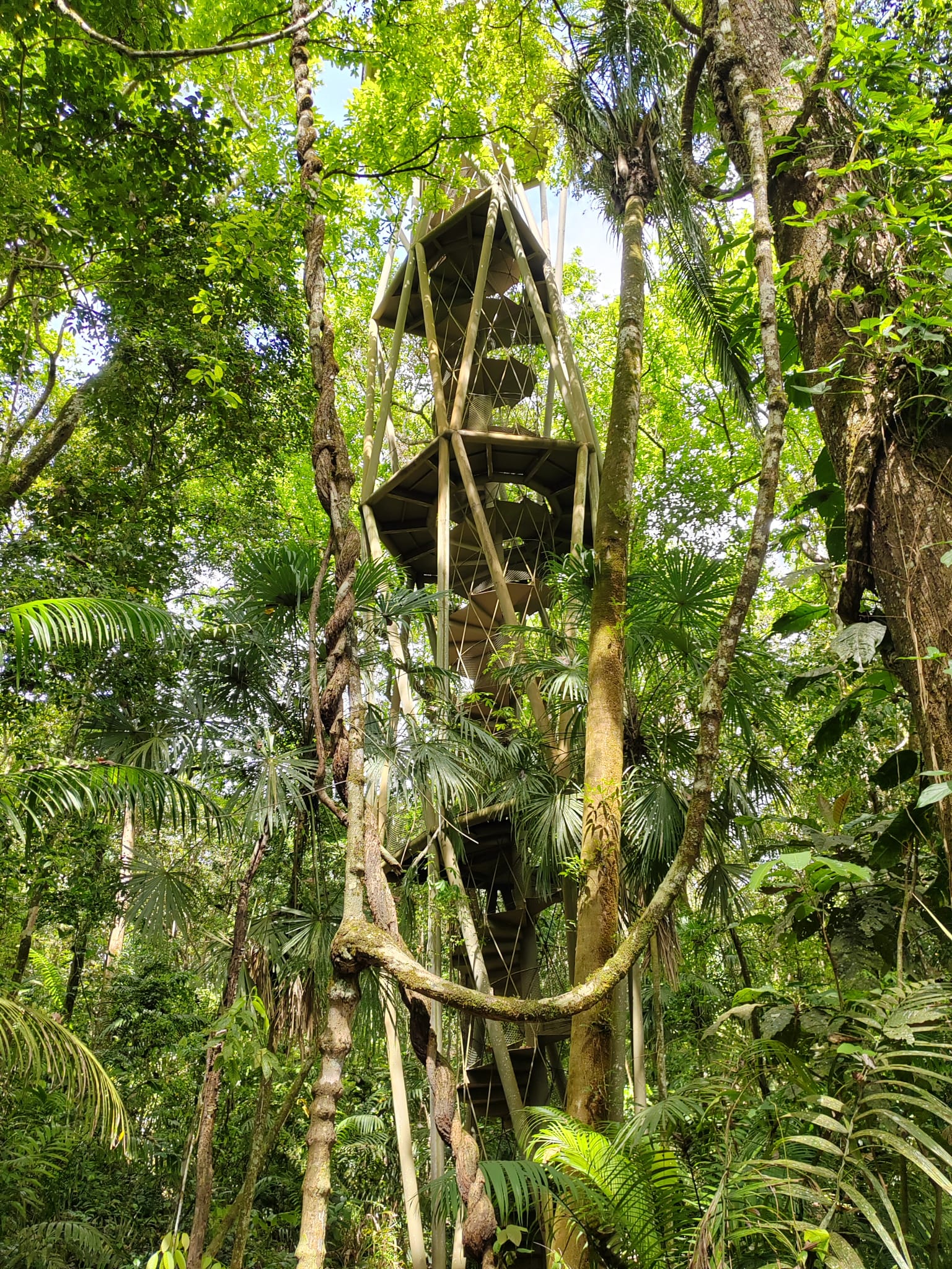 Panama Rainforest Discovery Center in Gamboa