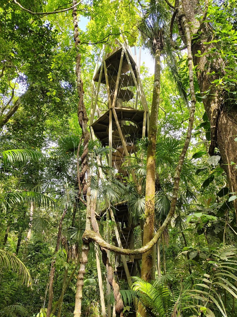 Panama Rainforest Discovery Center in Gamboa