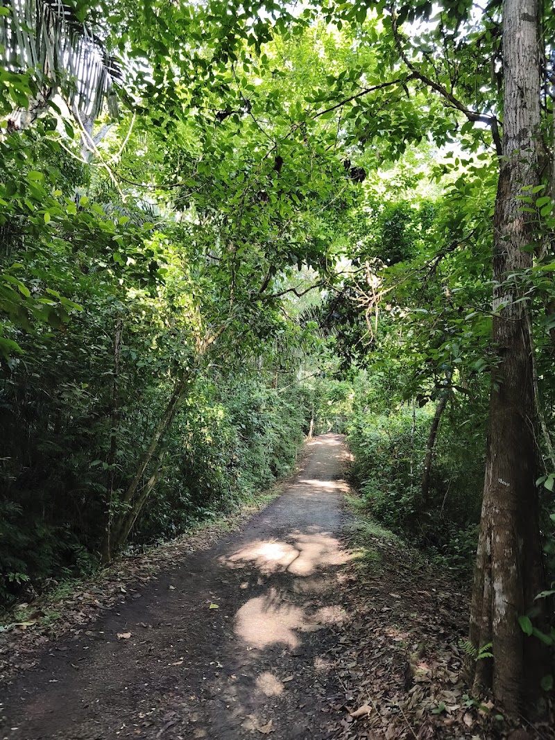 Photo 3 at Panama Rainforest Discovery Center in Gamboa