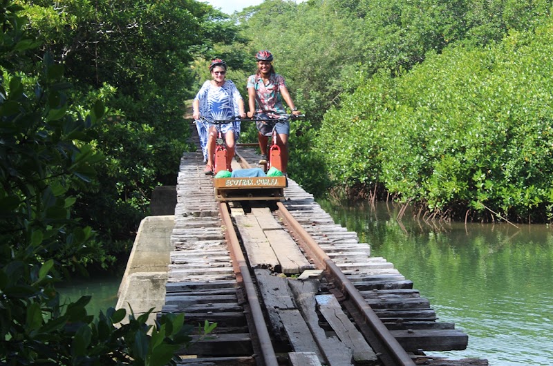 Ecotrax Central in Voua